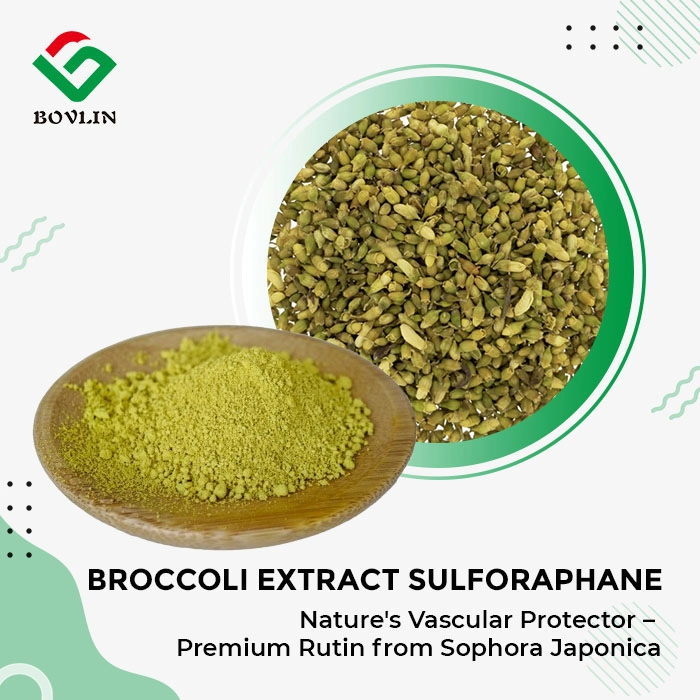Pure Rutin Powder